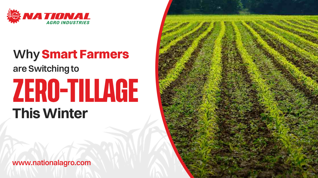Why Smart Farmers are Switching to Zero-Tillage This Winter